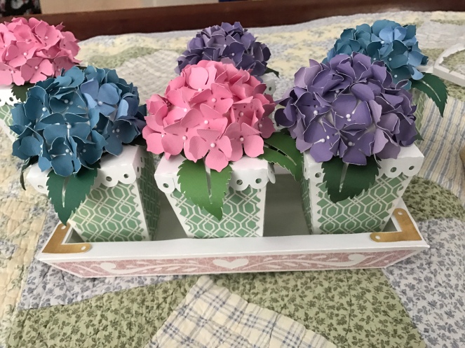 Completed tray with three hydrangea pots